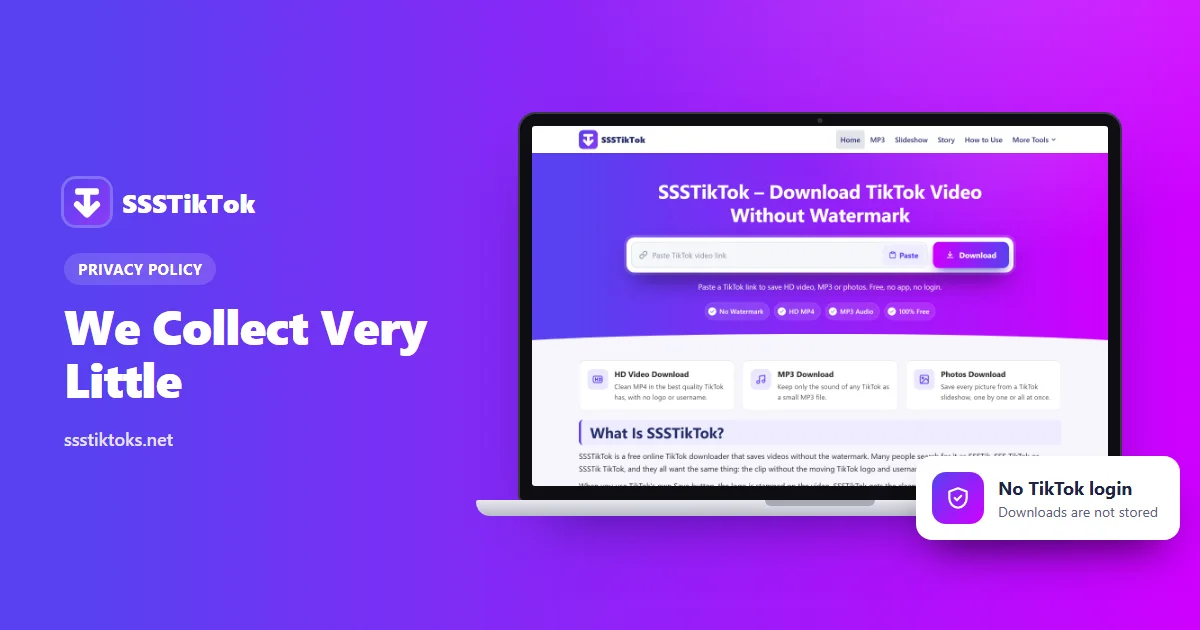 SSSTikTok privacy policy