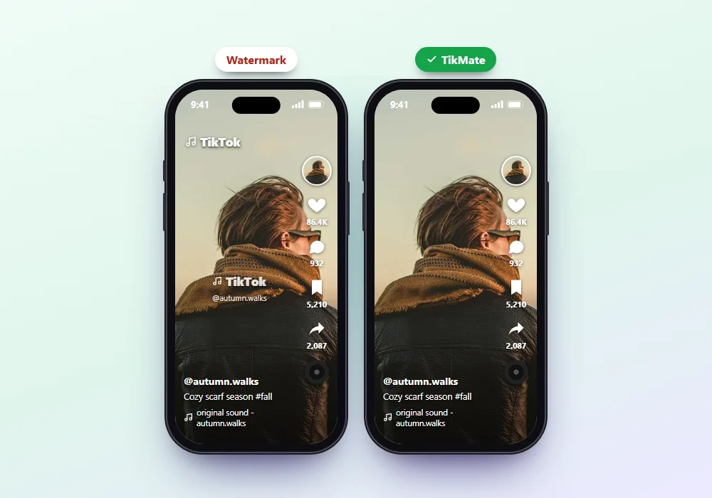 TikMate TikTok video with and without watermark