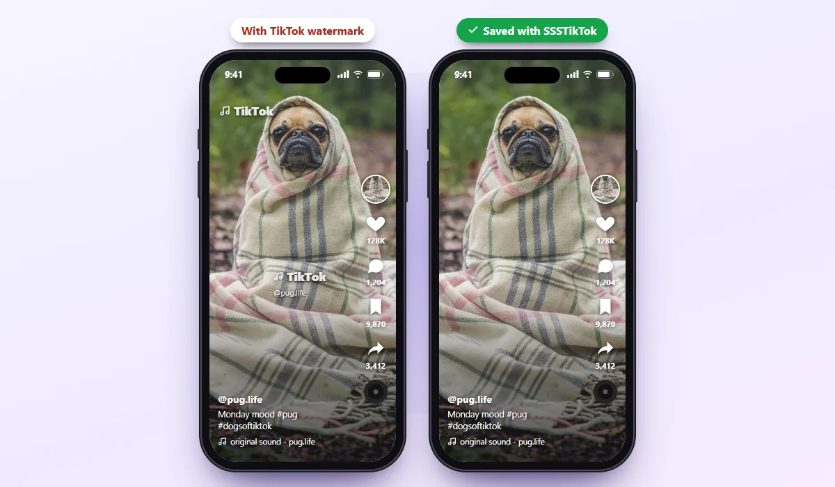 TikTok video saved without watermark with SSSTikTok