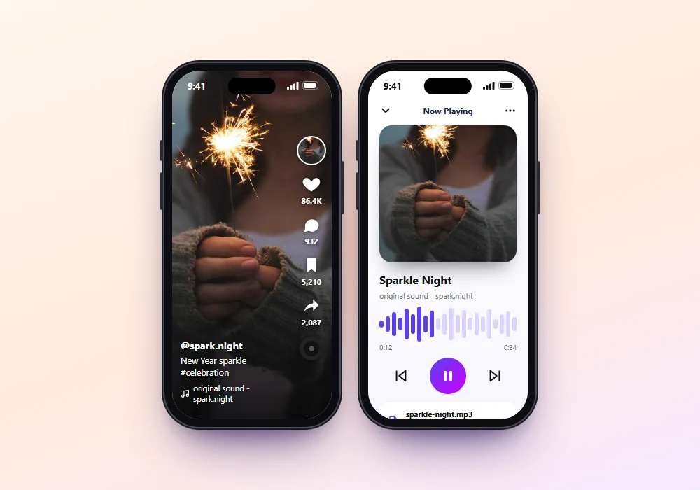 TikTokio TikTok video converted to MP3