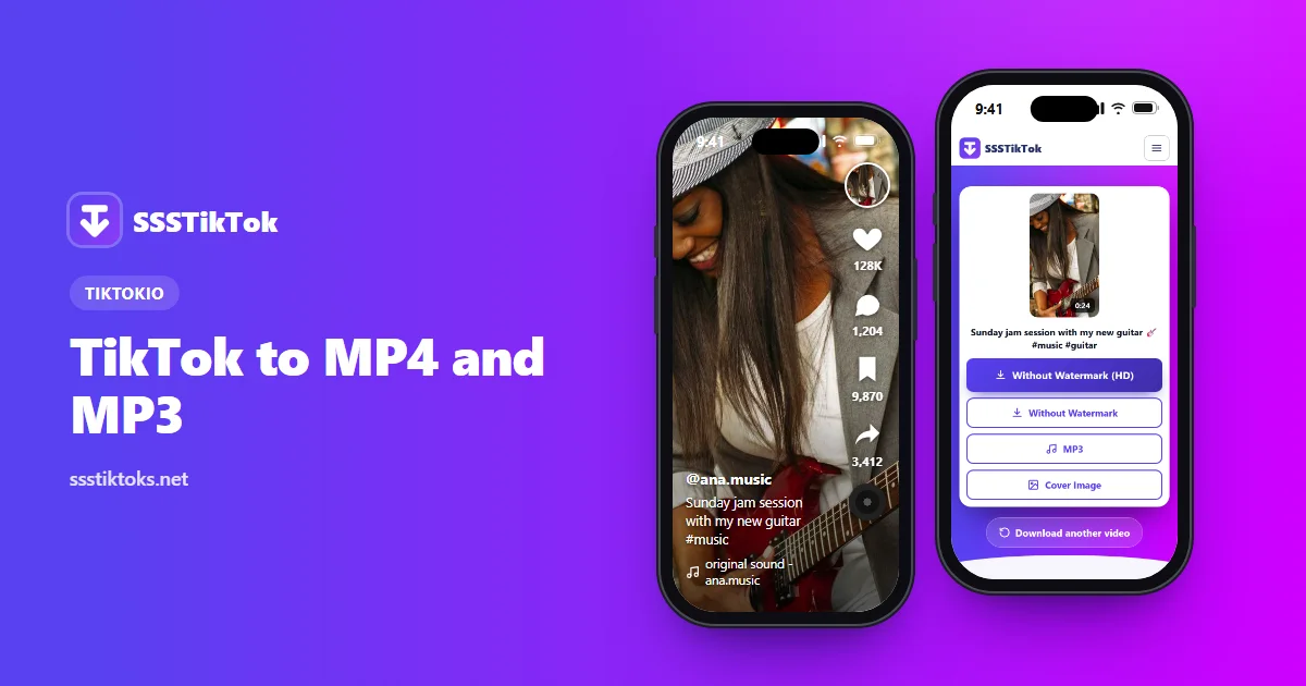 TikTokio TikTok to MP4 and MP3